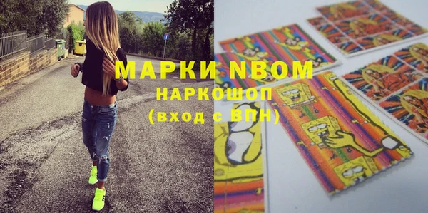 дурь Няндома
