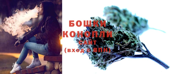 дурь Няндома