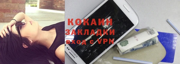 дурь Няндома