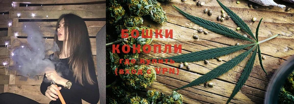 молекула духа Осташков