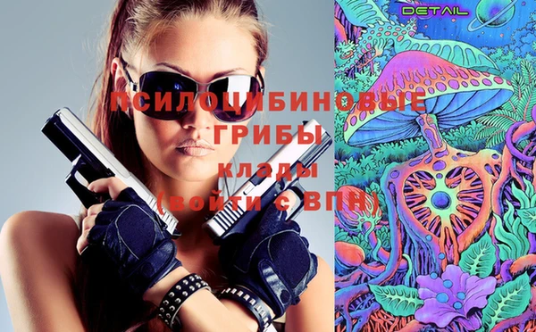 крисы Нязепетровск