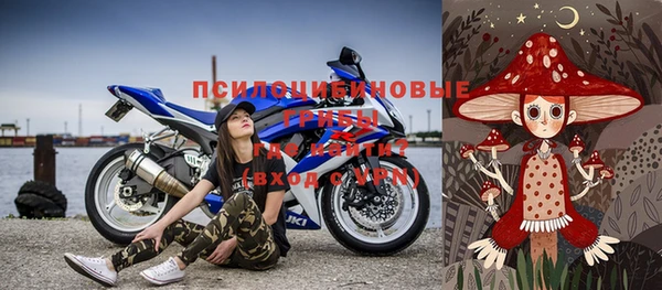 дурь Няндома