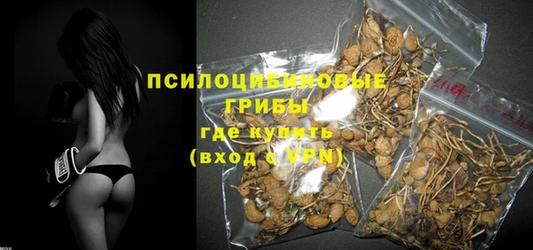 дурь Няндома