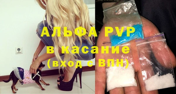 дурь Няндома