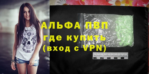 дурь Няндома