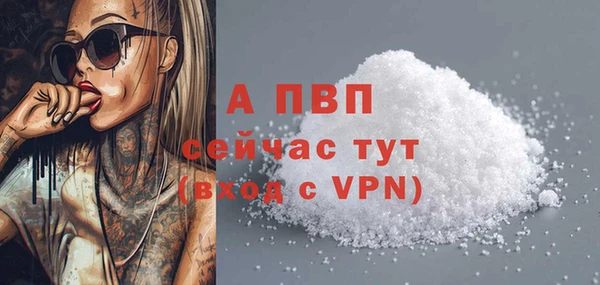 молекула духа Осташков