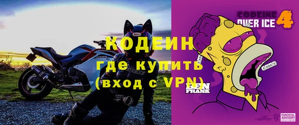 дурь Няндома