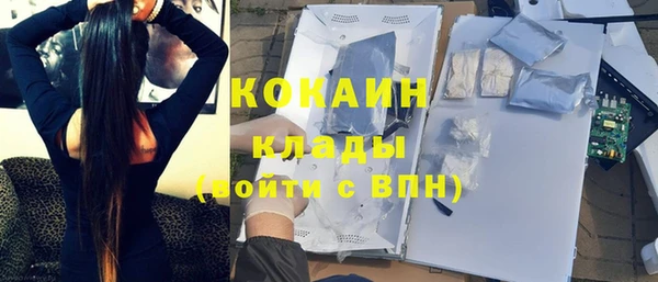 дурь Няндома
