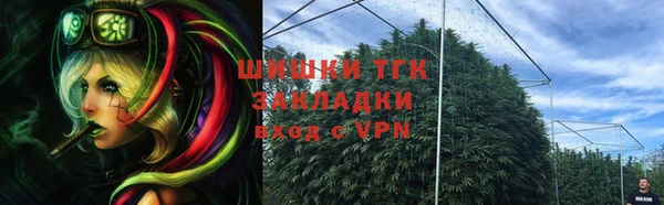дурь Няндома