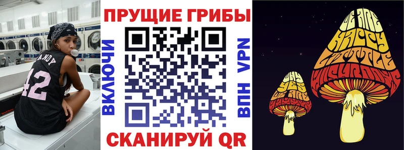 Псилоцибиновые грибы Psilocybe  Елец 