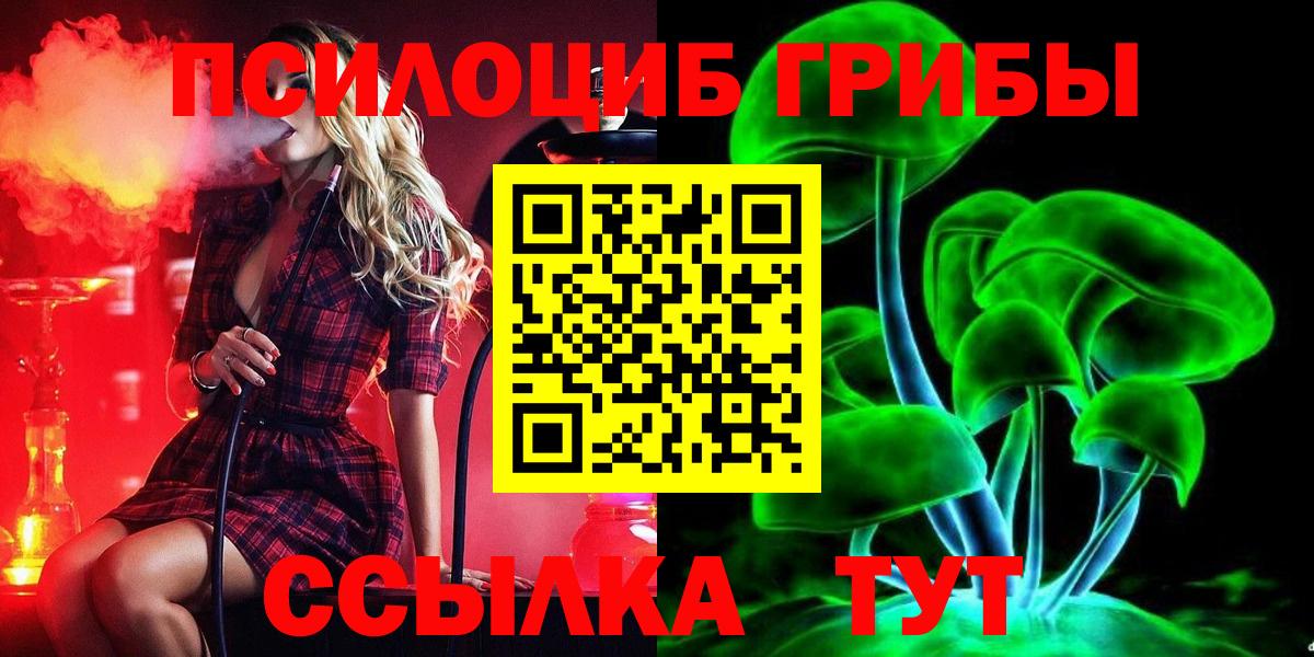 купить наркоту  Елец  Псилоцибиновые грибы ЛСД 