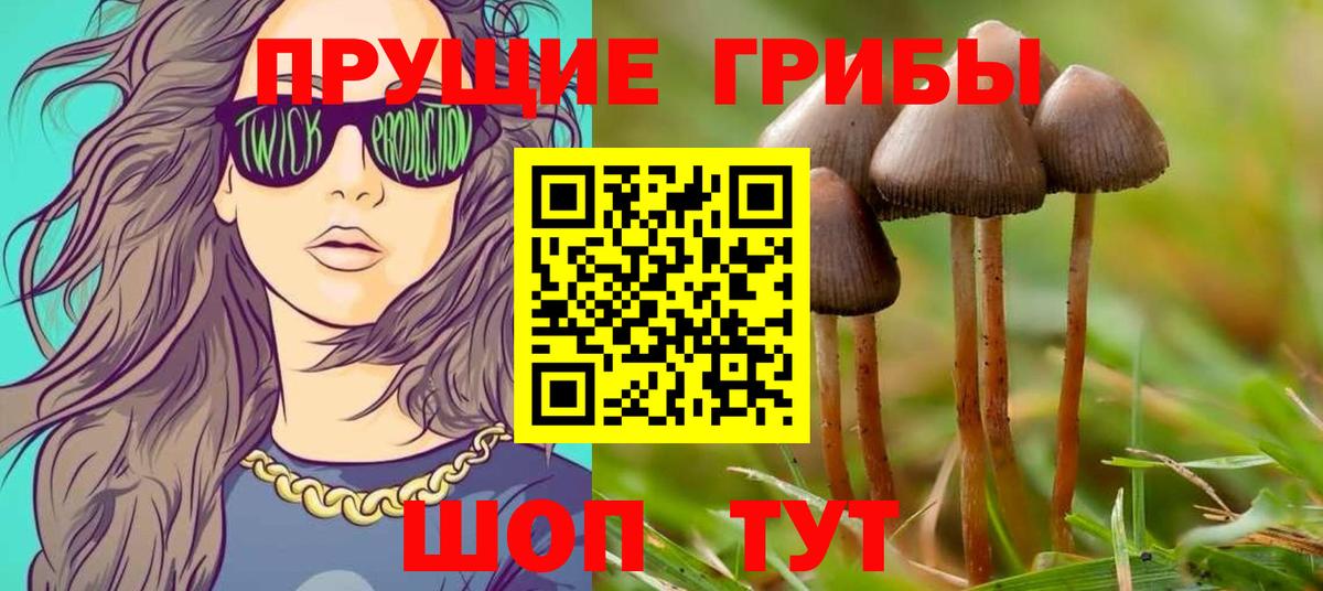 Галлюциногенные грибы мицелий Елец