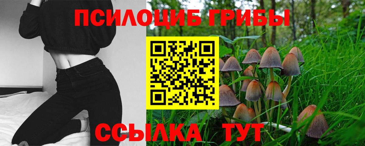 Елец  Псилоцибиновые грибы Cubensis  Вход с VPN 