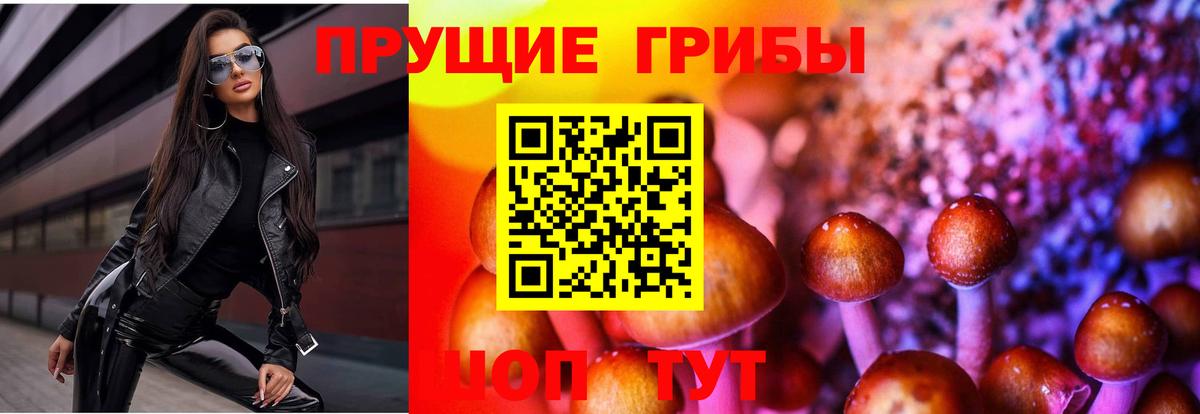 Псилоцибиновые грибы мицелий Елец